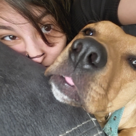 Intention jars - Picture 11 of 17